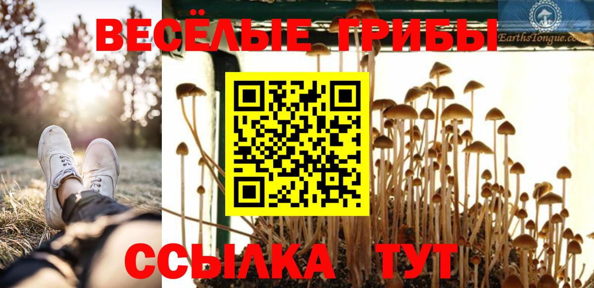 Красногорск  Галлюциногенные грибы MAGIC MUSHROOMS  Вход с VPN  Галлюциногенные грибы Cubensis 