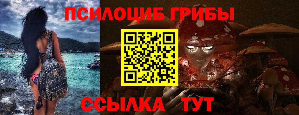 Галлюциногенные грибы GOLDEN TEACHER Красногорск